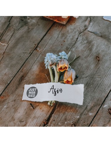 Pieczątka Little NIO Colop -...