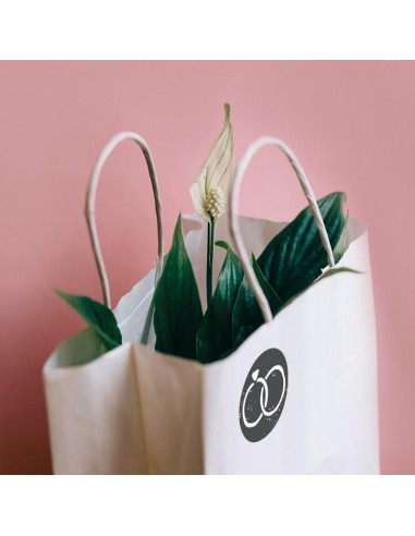 Pieczątka Little NIO Colop -...