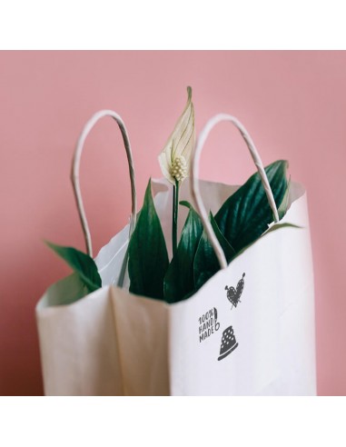 Pieczątka Little NIO Colop - Ręcznie...