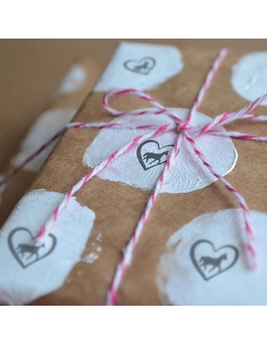 Pieczątka Little NIO Colop - Konie -...