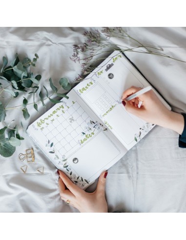 Pieczątka Little NIO Colop -...